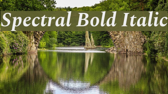 Spectral Bold Italic Font examples