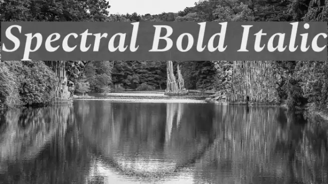 Spectral Bold Italic Fonte examples