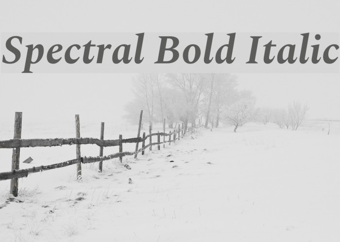 Spectral Bold Italic Font examples