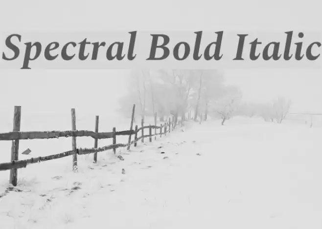 Spectral Bold Italic Fonte examples