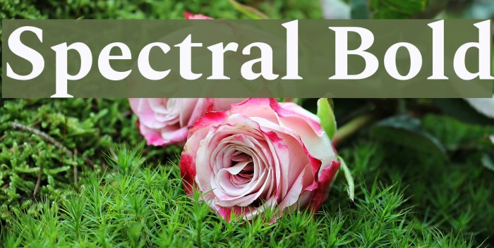 Spectral Bold Font examples