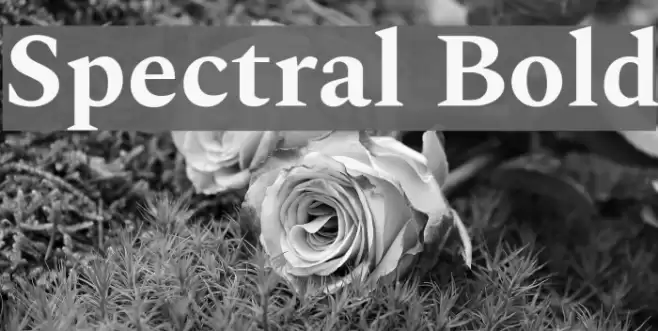 Spectral Bold examples