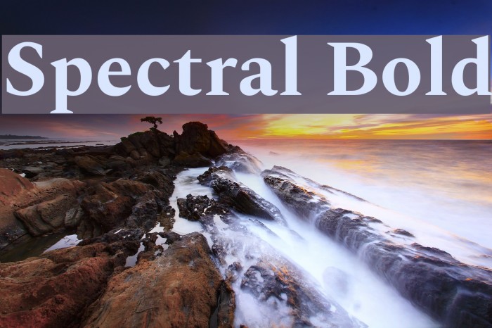 Spectral Bold Font examples