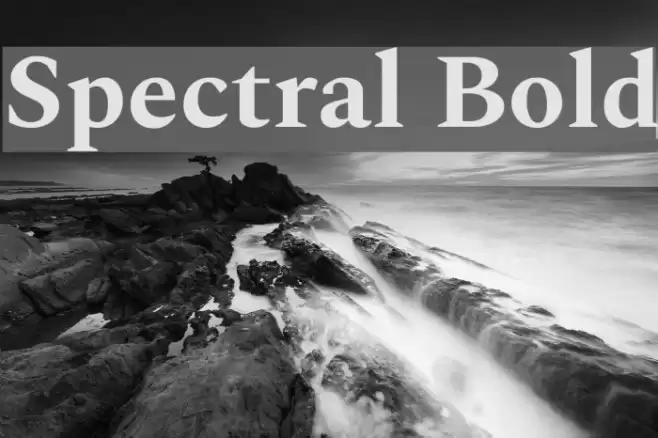Spectral Bold examples