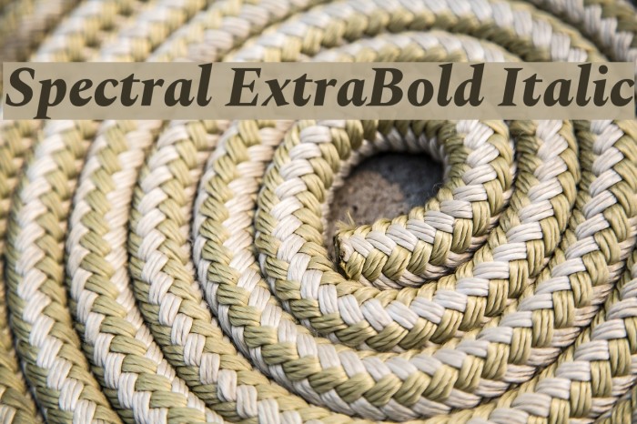 Spectral ExtraBold Italic Font examples