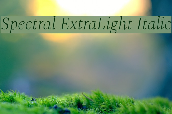 Spectral ExtraLight Italic Font examples