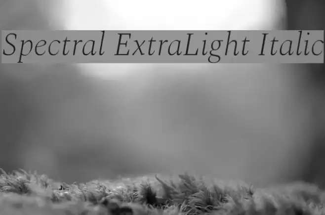 Spectral ExtraLight Italic  examples