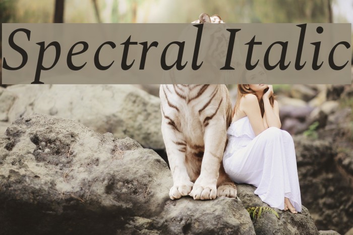 Spectral Italic Font examples