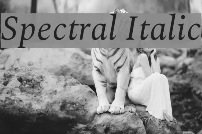 Spectral Italic Font examples