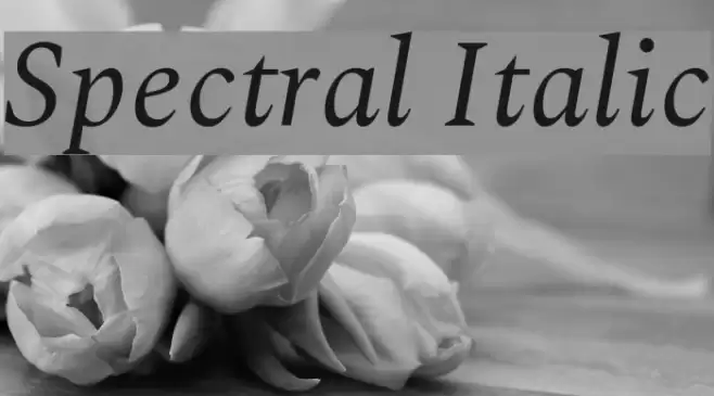 Spectral Italic Font examples