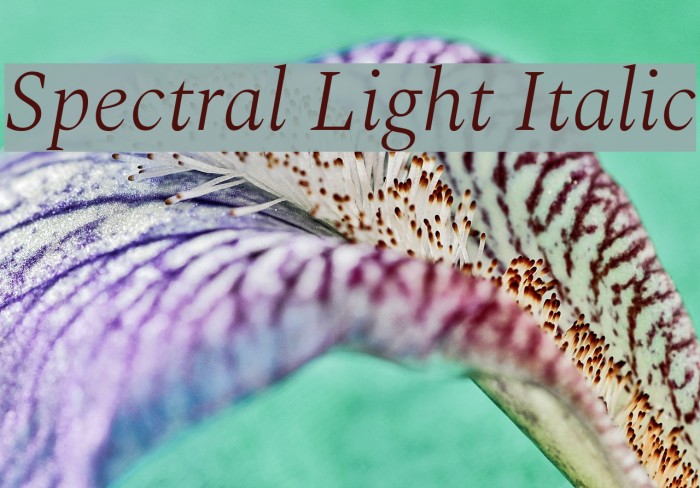 Spectral Light Italic Font examples