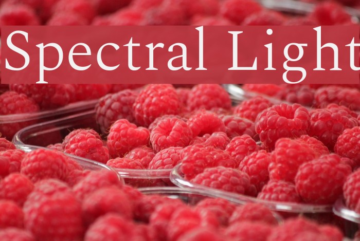 Spectral Light Font examples