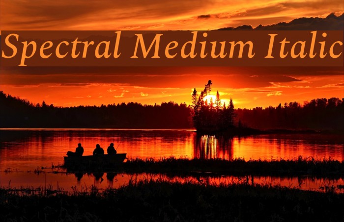 Spectral Medium Italic Font examples