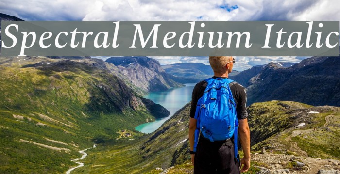 Spectral Medium Italic Font examples