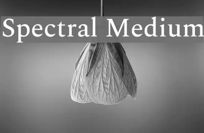 Spectral Medium Font examples