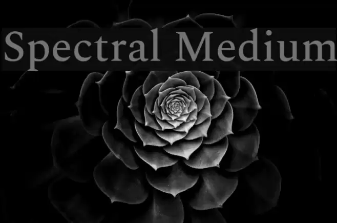 Spectral Medium Font examples