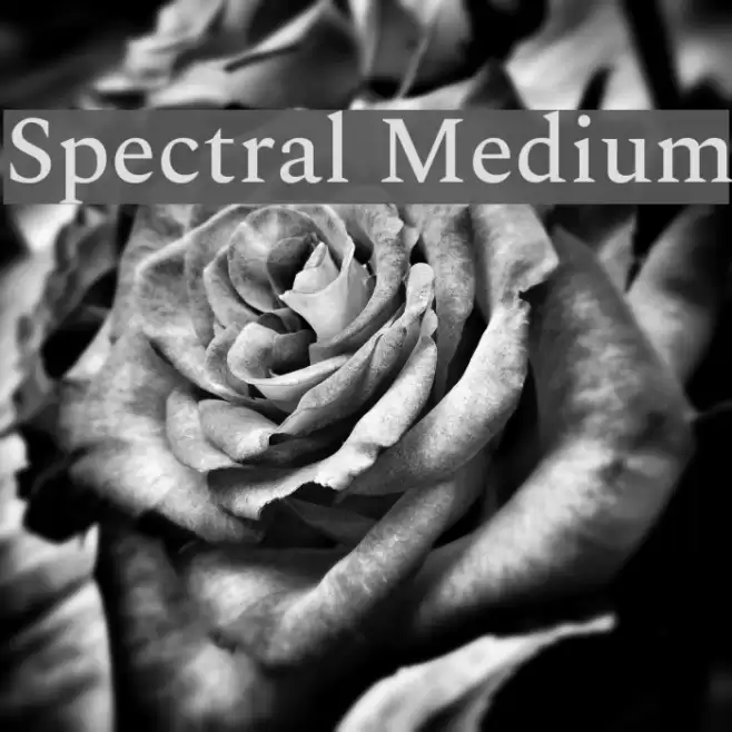 Spectral Medium Font examples
