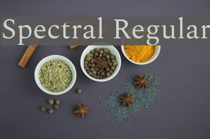 Spectral Regular Font examples