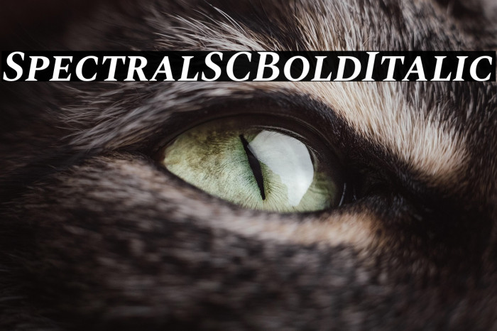 Spectral SC Bold Italic Example 1