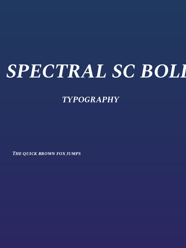 Spectral SC Bold Italic Poster