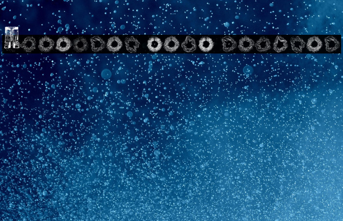 Spectral Sans Regular Example 1