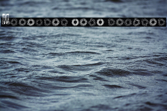 Spectral Sans Regular Example 2