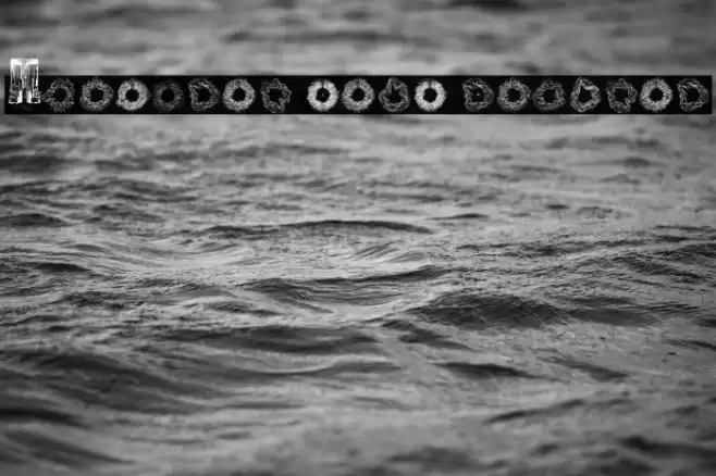 Spectral Sans Regular Шрифта examples