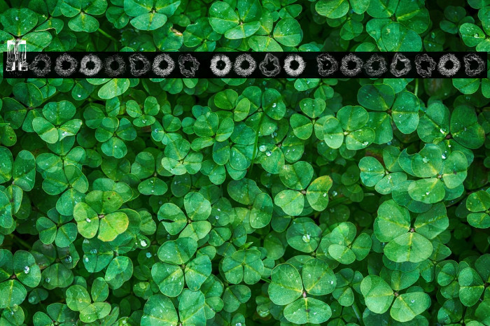 Spectral Sans Regular Example 3