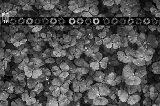 Spectral Sans Regular Шрифта examples