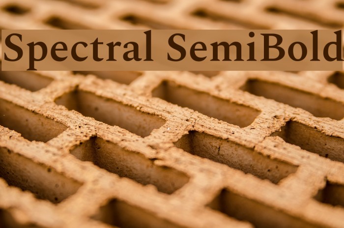 Spectral SemiBold Font examples