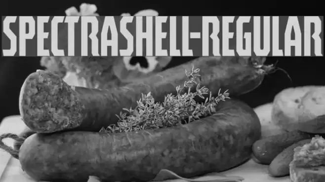 Spectrashell-Regular Font examples