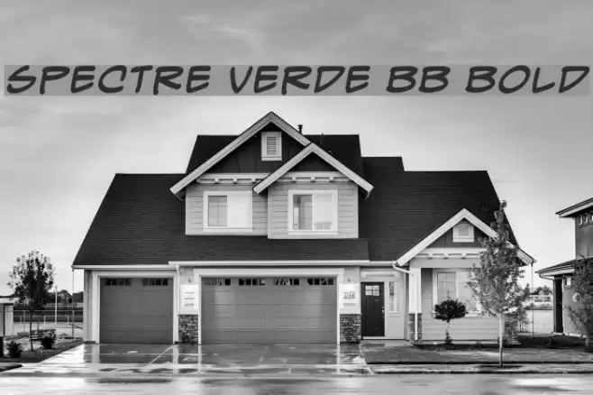 Spectre Verde BB Bold Font examples