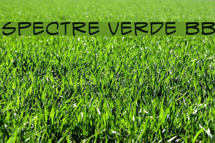 Spectre Verde BB Font examples