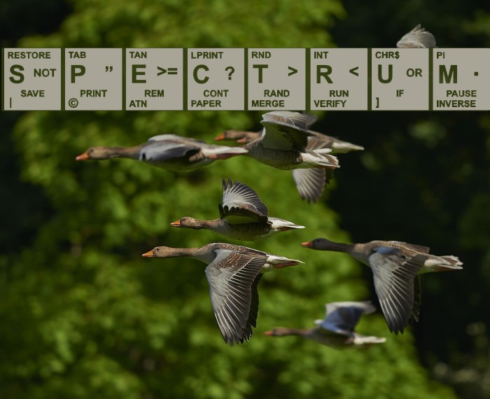 Spectrum Font examples