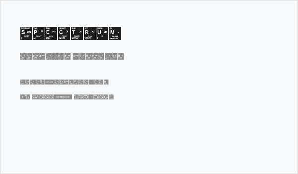 Spectrum Business Card