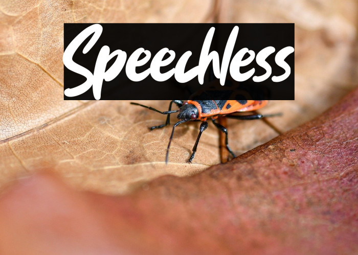 Speechless Example 2