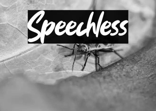 Speechless Font examples