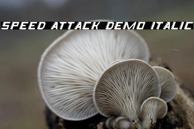 Speed Attack Demo Italic Example 1