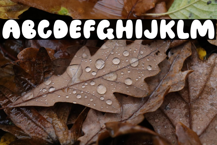 Speed Bubble Example 1