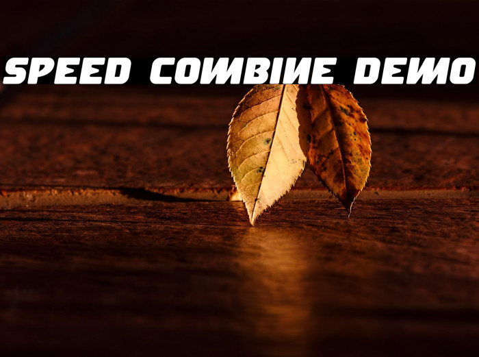 Speed Combine Demo Example 3