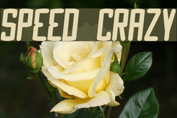 Speed Crazy Fonte examples