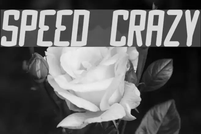 Speed Crazy Font examples