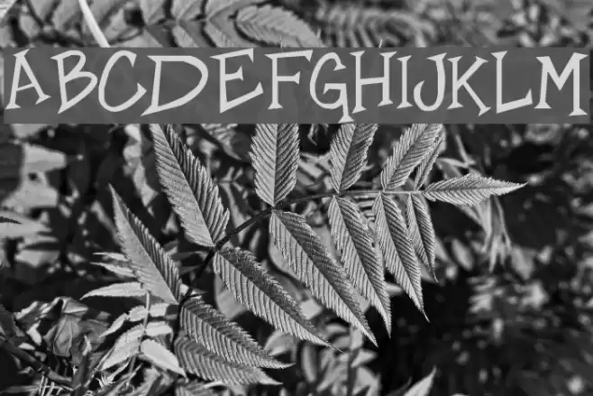 Speed Demon Font examples