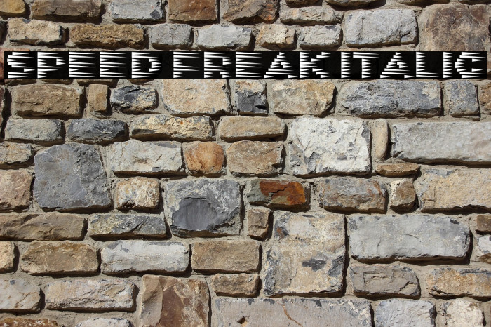 Speed Freak Italic Example 1
