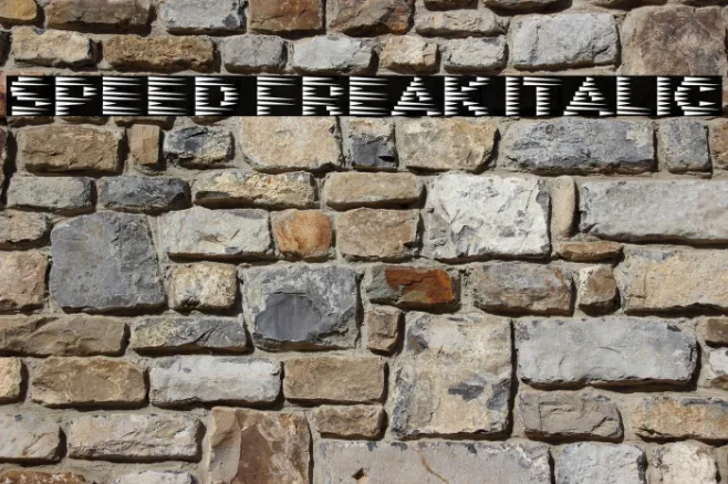 Speed Freak Italic Example 1