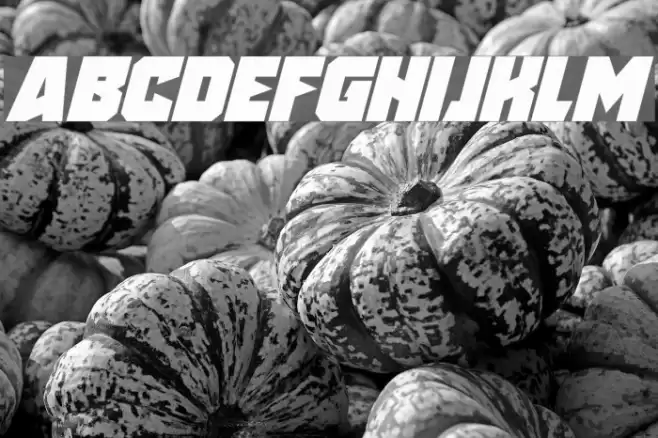 Speed Freaks Italic Font examples