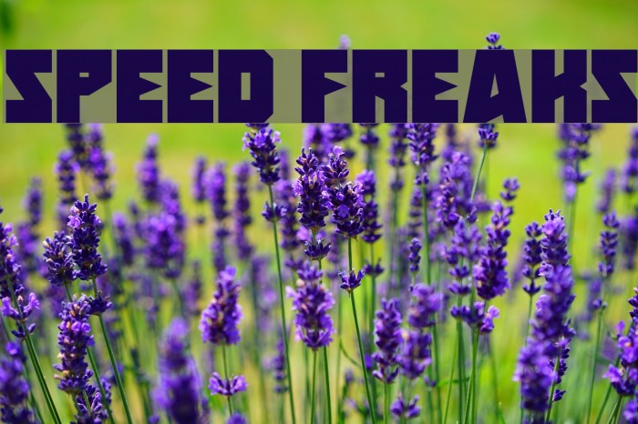 Speed Freaks Font examples