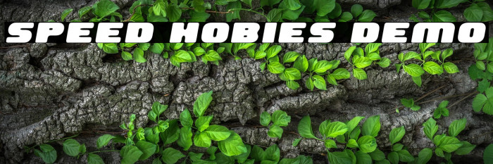 Speed Hobies Demo Example 1