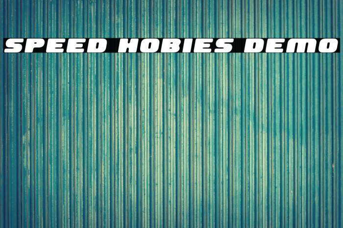 Speed Hobies Demo Example 2