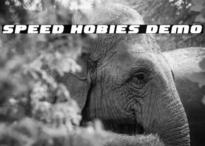 Speed Hobies Demo फ़ॉन्ट examples